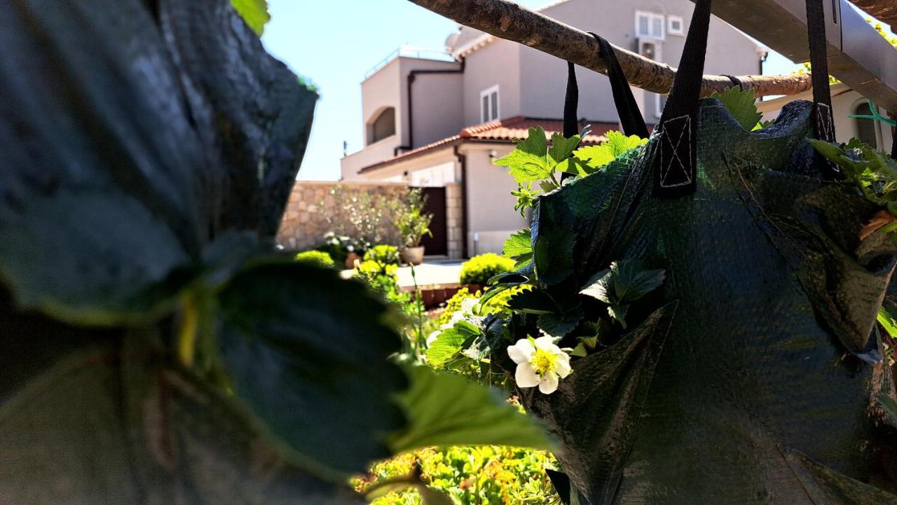 Dubrovnik Airport Apartment Tea Durovici Екстериор снимка